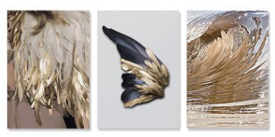 Nordic Ins Light Luxury Feather Living Room Sofa Background Wall Decorative Painting - Hearth & Lume