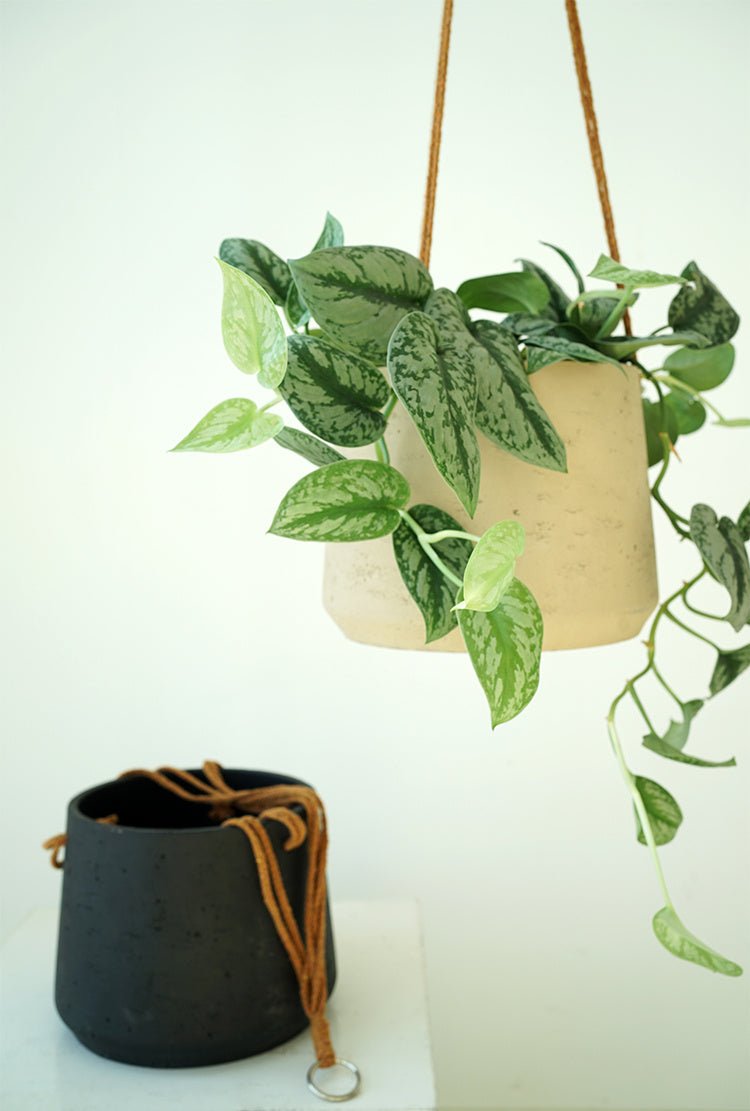 Nordic Wall Hanging Cement Hanging Flower Pot - Hearth & Lume