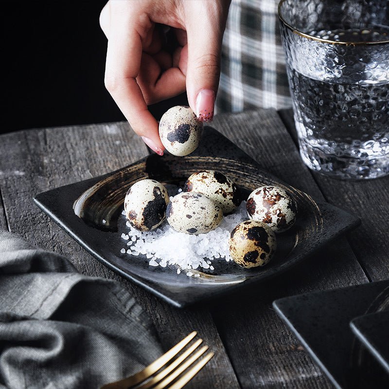 Sushi plate square plate - Hearth & Lume