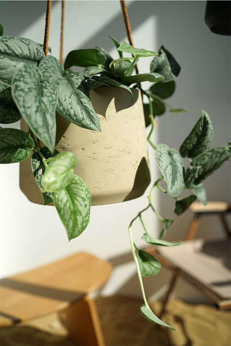 Nordic Wall Hanging Cement Hanging Flower Pot - Hearth & Lume