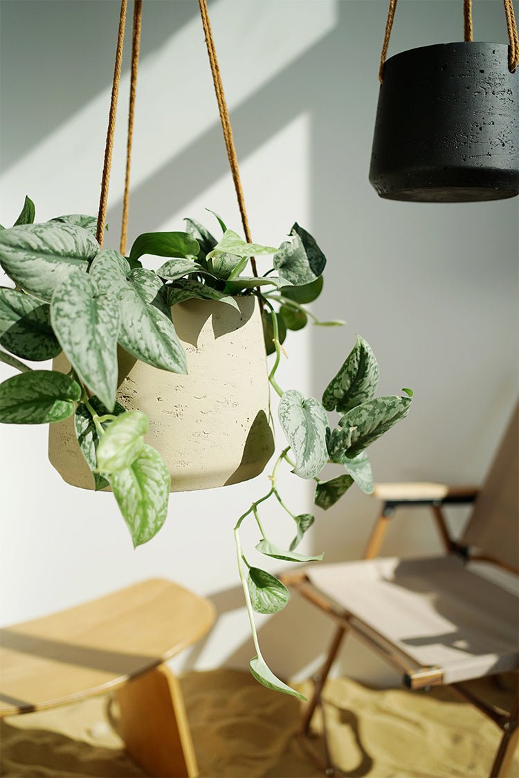 Nordic Wall Hanging Cement Hanging Flower Pot - Hearth & Lume
