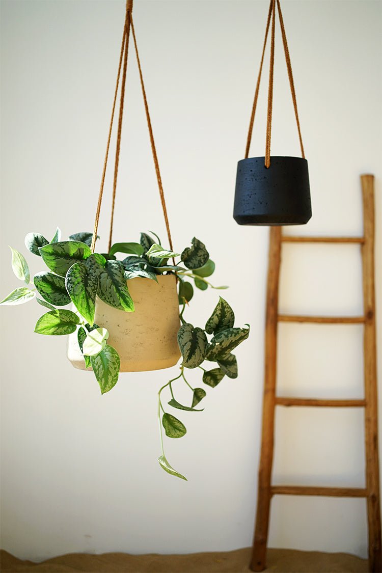 Nordic Wall Hanging Cement Hanging Flower Pot - Hearth & Lume
