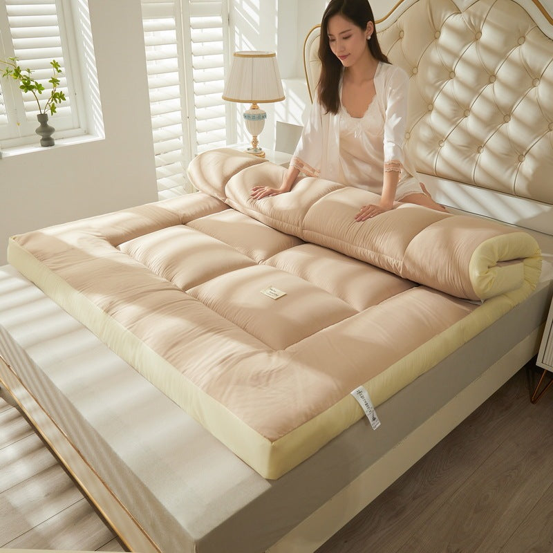 Thickened Tatami Tridimensional Mat Home Stay