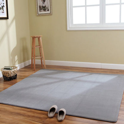 Coral Carpet Family Living Room Study Carpet Balcony Bay Window - Hearth & Lume