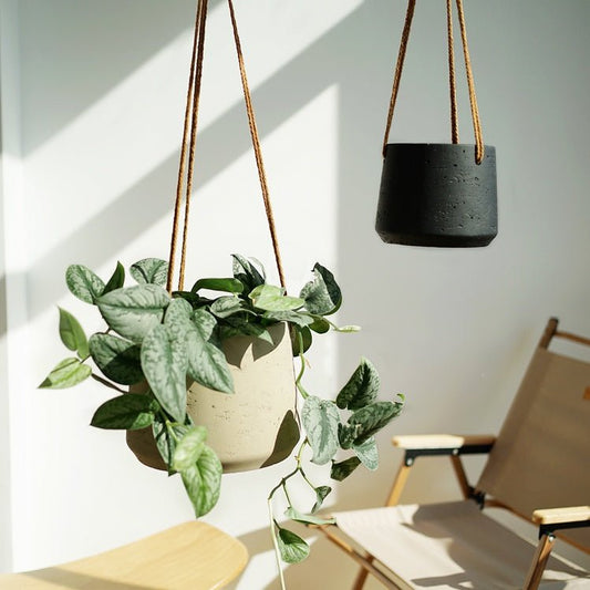 Nordic Wall Hanging Cement Hanging Flower Pot - Hearth & Lume