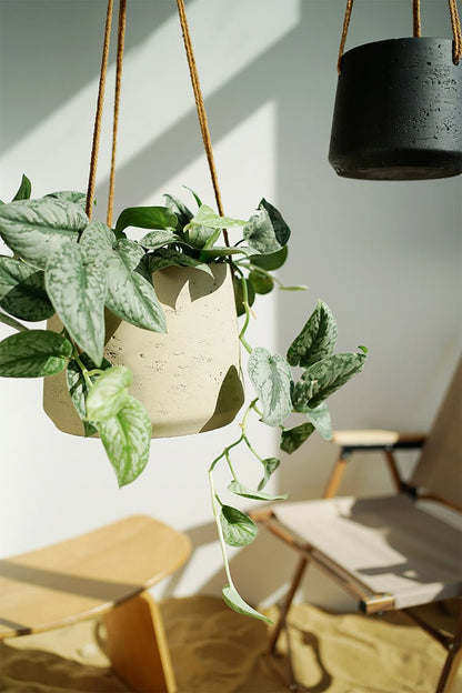Nordic Wall Hanging Cement Hanging Flower Pot - Hearth & Lume
